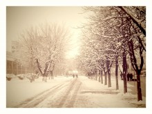 Der erste Schnee / ***
