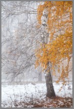Der Winter kommt 2 / ***