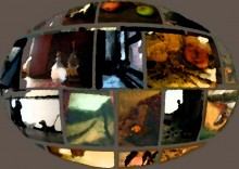 Universum / ***