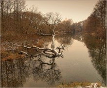 in Erwartung des Winters / ***