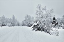 Der erste Schnee / ***