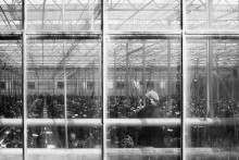 "Hinter Gittern" / ***