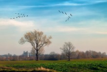 Autumn Motives / ,,,