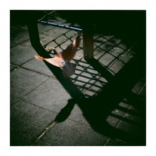 "Hinter Gittern" / ......