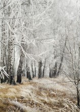 na progu grudnia / ---