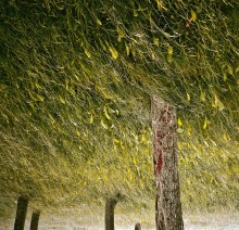 "Tal der flüstert Gras" / ***