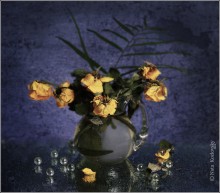 Rainy Stimmung / ***