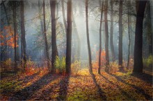 Der letzte Tango Herbst / ***
