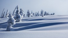 Am ersten Tag des Winters!))) / ***