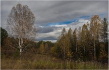 Welken der Natur ... / ***
