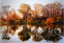 Herbstmotiv / ...
