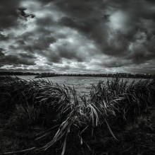 "Whisper Sturm ..." / ***