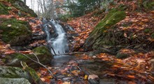 Sentier de la Chute / Sentier de la Chute