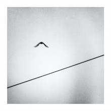 "Messen Sie sich" / ***