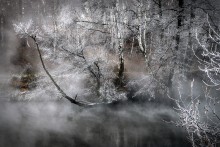 Gegen Geheimnisse Novembermorgen ... / ***