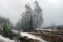 In Winter / ***