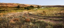 Steppe / ***