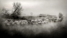 Verloren im Nebel ... / ***