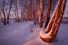 "Im Winterwanderwege" / ***