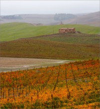 Herbstfarben / ***