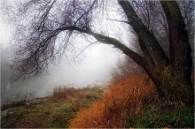 Boren / ...