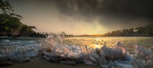 Roatan ~ sea edge / Roatan ~ sea edge