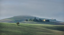 Nebligen Morgen / ***