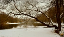 neben dem Fluss / ***