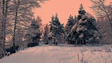 Frosty Abend / ***