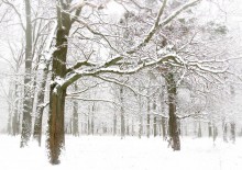 Es war Schnee ... / ***