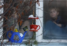 Tea Party .. / ***