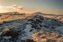 Dionysius Berg Tundra / ***