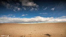 Horizont / ***