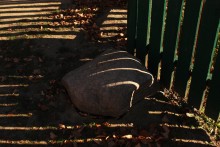 "Navel Schatten auf dem Zaun" / ---------------------------