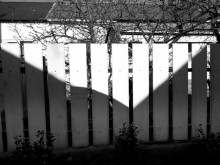 "Navel Schatten auf dem Zaun" / ***
