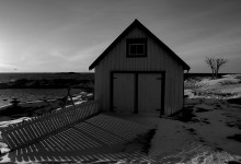 Schatten auf dem Zaun / ***