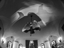 "Navel Schatten auf dem Zaun" / ***