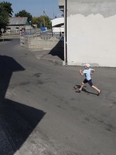"Navel Schatten auf dem Zaun" / ***