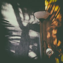 "Navel Schatten auf dem Zaun" / ***