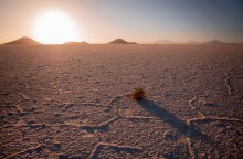 Ausscheiden aus dem Sonnenuntergang / ***