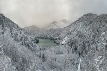 Snowy Rahmung. / ***