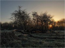 ... Ein bisschen Sonne ... / ***