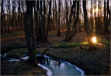 Bach und Sonne / ***