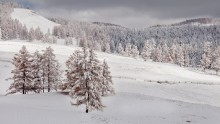Schneefall / ***