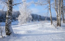 Im Dezember. / ***