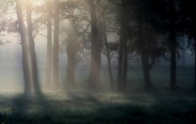 Über Morgenlicht / ***