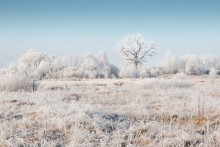 Winter / ***