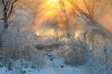 Um der Sonne ... / ***