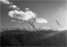 Wolke / ***