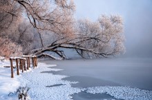 Frosty Morgen des Tages / ***